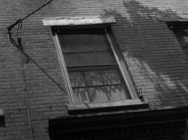 L'ombre d'un doute (Shadow of a doubt) – La Kinopithèque